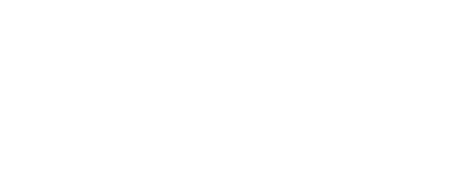 Pivotti VIP Liner Berlin – Vermietung von Bussen, Vans und Limousinen mit Fahrern