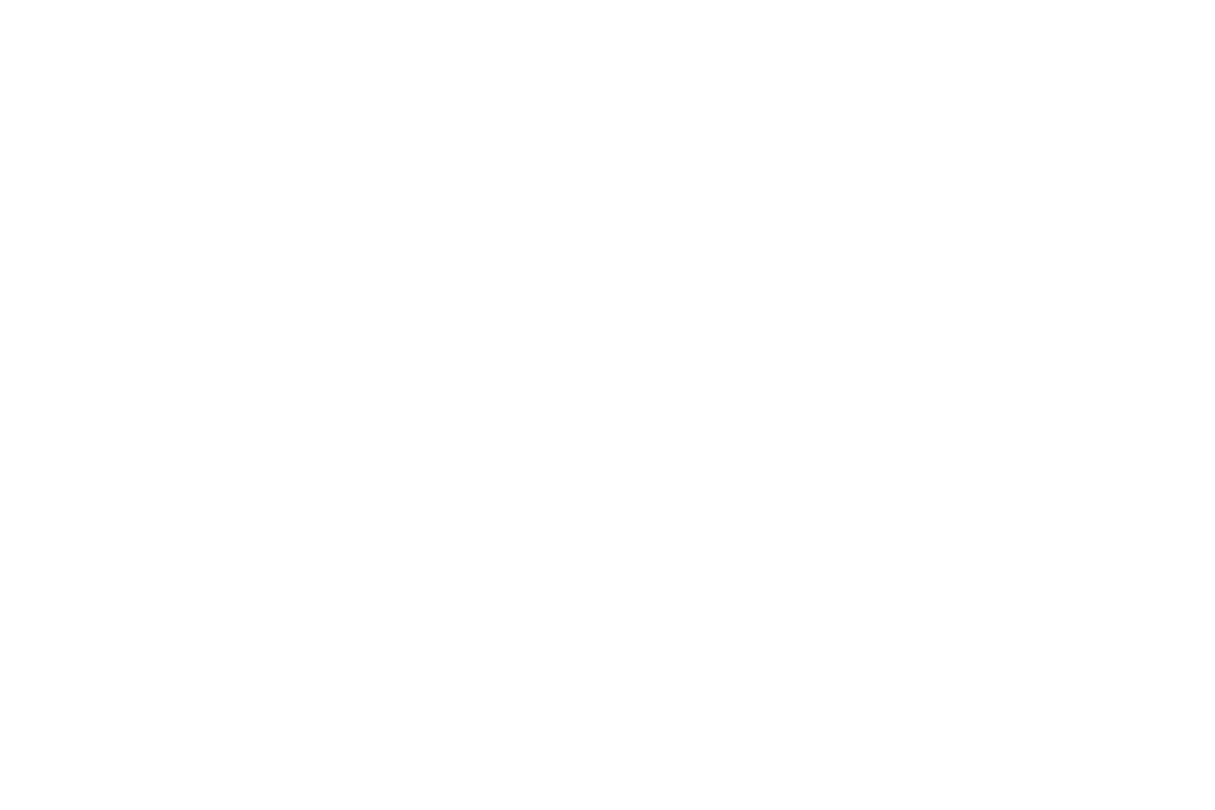 Volkswagen ist ein zufriedener Kunde von Pivotti VIP Liner Berlin