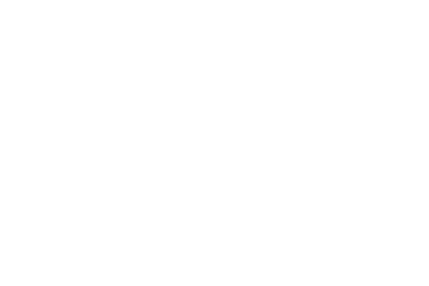 Ritz Carlton ist ein zufriedener Kunde von Pivotti VIP Liner Berlin